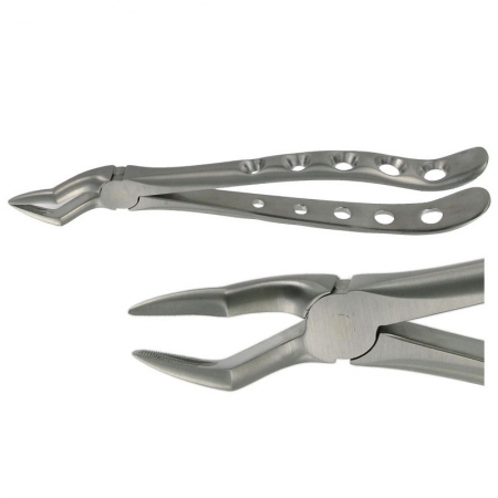 ENGLISH FORCEPS 51A UPPER ROOT