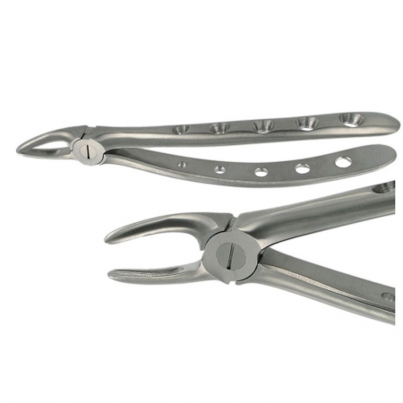 ENGLISH FORCEPS 30 UPPER ROOT
